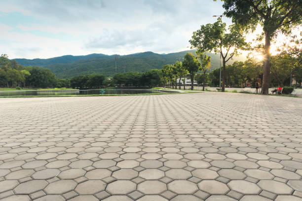 Best Driveway Paver Repair  in Cecil Bishop, PA